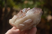 Natural Red Hematoid Quartz Crystal Clusters  x 12 From Karoi, Zimbabwe - TopRock