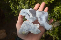 Natural Etched Blue Chalcedony Specimens  x 12 From Nsanje, Malawi