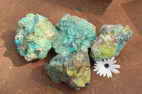 Natural Rough Blue Shattuckite Specimens  x 4 From Namibia - TopRock