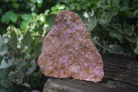 Natural Rough Rhodonite Specimens x 3 From Zimbabwe