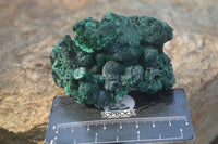 Natural Chatoyant Silky Malachite Specimens  x 6 From Kasompe, Congo - Toprock Gemstones and Minerals 