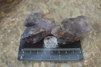 Natural Royal Zulu Window Amethyst Crystals x 12 From, South Africa