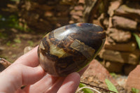 Polished Septaria Dragon's Eggs (Calcite & Aragonite) x 5 From Mahajanga, Madagascar - TopRock