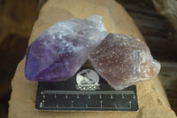 Natural Single Jacaranda Amethyst Crystals x 12 From Mumbwe, Zambia