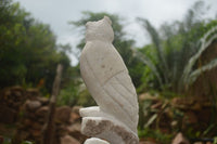 Polished Sparkling White Marble Owl Sculpture  x 1 From Zimbabwe - TopRock