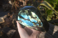 Polished Extra Large Labradorite Standing Free Form  x 1 From Tulear, Madagascar