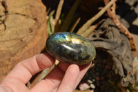 Polished Flashy Labradorite Palm Stones  x 20 From Tulear, Madagascar - TopRock