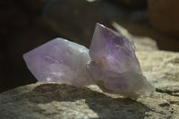 Natural Jacaranda Amethyst Crystals x 12 From Mumbwa, Zambia