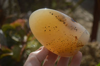 Polished Dendritic Agate Standing Free Forms  x 6 From Moralambo, Madagascar