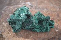 Natural Chatoyant Silky Malachite Specimens  x 12 From Kasompe, Congo - Toprock Gemstones and Minerals 