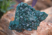 Natural Emerald Dioptase & Malachite Specimens  x 2 From Likasi, Congo - Toprock Gemstones and Minerals 