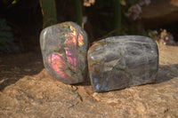 Polished Rare Purple Flash Labradorite Standing Free Forms x 2 From Tulear, Madagascar