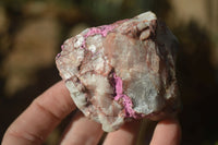 Natural Salrose Cobaltion Dolomite Specimens x 12 From Kakanda, Congo