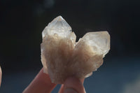 Natural Cascading White Phantom Smokey Quartz Crystals  x 35 From Luena, Congo - Toprock Gemstones and Minerals 