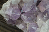 Natural Jacaranda Amethyst Cluster x 1 From Mumbwa, Zambia - TopRock