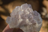 Natural Sugar Amethyst Clusters  x 6 From Solwezi, Zambia - Toprock Gemstones and Minerals 