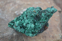 Natural Chatoyant Silky Malachite Specimens  x 6 From Kasompe, Congo - Toprock Gemstones and Minerals 