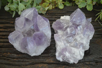 Natural Jacaranda Amethyst Clusters x 2 From Mumbwa, Zambia - TopRock