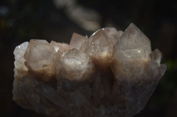 Natural Cascading Smokey Quartz Clusters x 2 From Luena, Congo