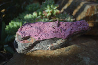 Natural Pink Salrose Cobaltion Dolomite Specimens  x 3 From Kakanda, Congo