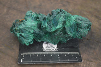 Natural Chatoyant Silky Malachite Specimens  x 3 From Kasompe, Congo - Toprock Gemstones and Minerals 