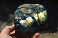 Polished Labradorite Standing Free Forms With Intense Blue & Gold Flash x 2 From Sakoany, Madagascar - TopRock