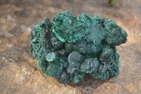 Natural Chatoyant Silky Malachite Specimens  x 6 From Kasompe, Congo - Toprock Gemstones and Minerals 