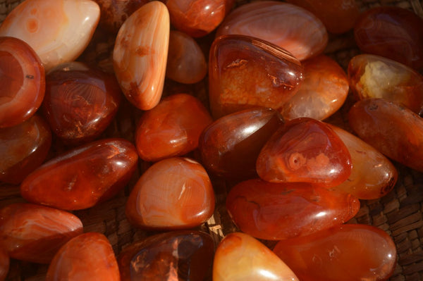 Polished  Carnelian Agate Tumble Stones  x 1 Kg Lot From Madagascar