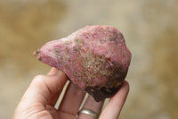 Polished One Side Polished Rhodonite Free Forms  x 5 From Madagascar - TopRock