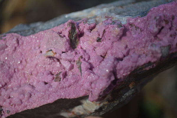 Natural Pink Salrose Cobaltion Dolomite Specimens  x 3 From Kakanda, Congo