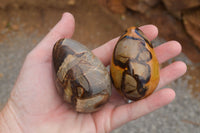 Polished Septaria Dragon's Eggs (Calcite & Aragonite) x 5 From Mahajanga, Madagascar - TopRock