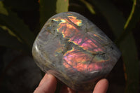 Polished Rare Purple Flash Labradorite Standing Free Forms x 2 From Tulear, Madagascar