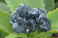 Natural Schorl Black Tourmaline Specimens With Hyalite On Some  x 6 From Erongo, Namibia - Toprock Gemstones and Minerals 