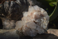 Natural Cascading Smokey Quartz Clusters x 2 From Luena, Congo