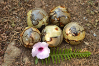 Polished Septerye (Calcite & Aragonite) Spheres x 5 From Mahajanga, Madagascar - TopRock