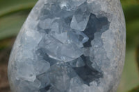 Natural Blue Celestite Crystal Centred Egg x 1 From Sakoany, Madagascar - Toprock Gemstones and Minerals 