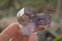 Natural Royal Zulu Window Amethyst Crystals x 12 From, South Africa