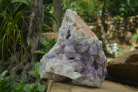 Natural Jacaranda Amethyst Cluster x 1 From Mumbwa, Zambia - TopRock