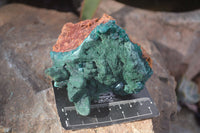 Natural Emerald Dioptase & Malachite Specimens  x 2 From Likasi, Congo - Toprock Gemstones and Minerals 