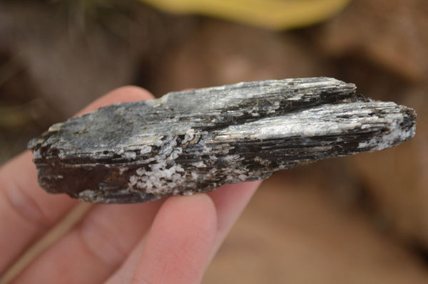 Natural Single Blue Kyanite Crystals  x 13 From Karoi, Zimbabwe