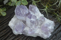 Natural Jacaranda Amethyst Clusters x 2 From Mumbwa, Zambia - TopRock