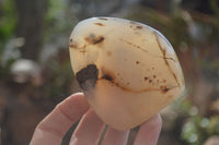 Polished Dendritic Agate Standing Free Forms  x 6 From Moralambo, Madagascar