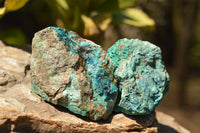 Natural Rough Blue Shattuckite Specimens  x 12 From Kaokoveld, Namibia - TopRock