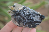 Natural Schorl Black Tourmaline Specimens With Hyalite On Some  x 6 From Erongo, Namibia - Toprock Gemstones and Minerals 