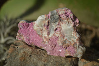 Natural Salrose Cobaltion Dolomite Specimens x 12 From Kakanda, Congo