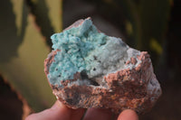 Natural Drusy Coated Chrysocolla Dolomite Specimens x 3 From Congo