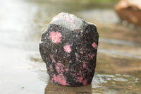 Polished One Side Polished Rhodonite Free Forms  x 5 From Madagascar - TopRock