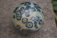 Polished Stromatolite / Kambamba Jasper Spheres  x 4 From Madagascar - Toprock Gemstones and Minerals 