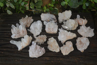 Natural Small Clear Quartz Clusters  x 24 From Madagascar