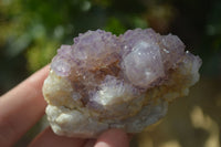 Natural Mixed Spirit Quartz Clusters  x 12 From Boekenhouthoek, South Africa - Toprock Gemstones and Minerals 